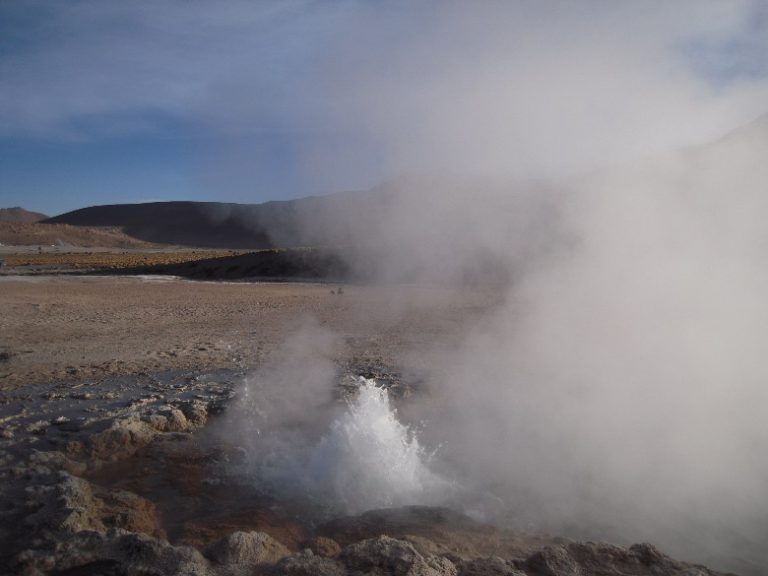 LAST DAY IN CHILE — Llama kabob anyone?