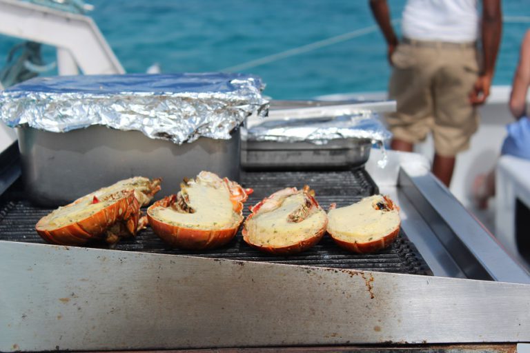A day trip off Antigua’s beaches on a 65-foot catamaran