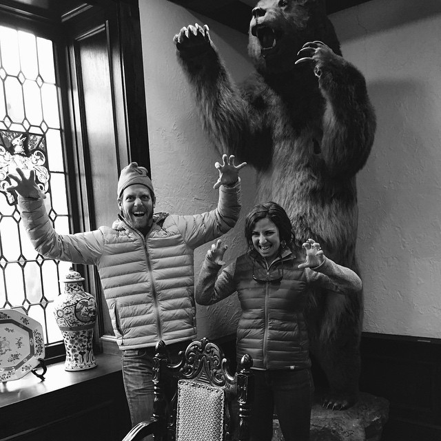 Grizzly bear antics at Cheshire Hotel in St Louis