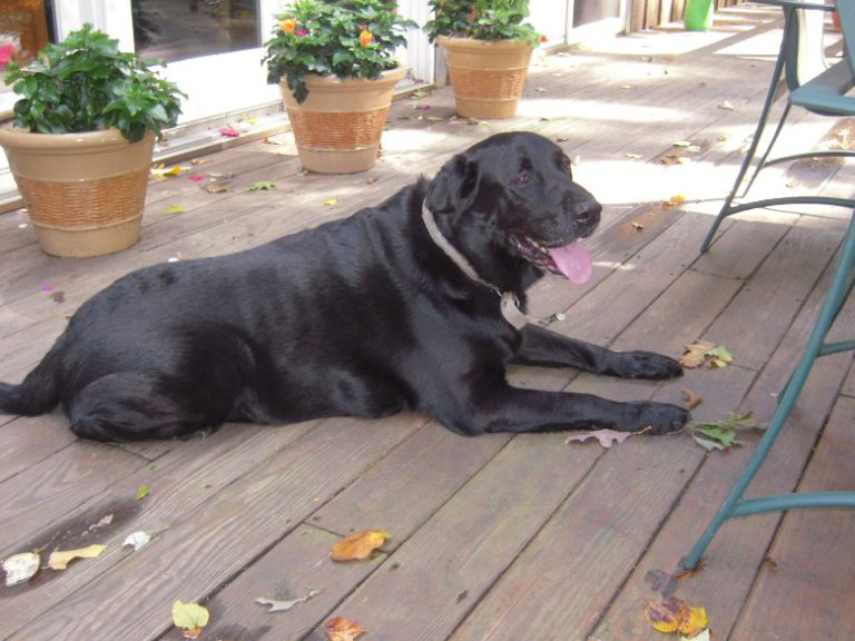 Thanks for the Memories, Gus!