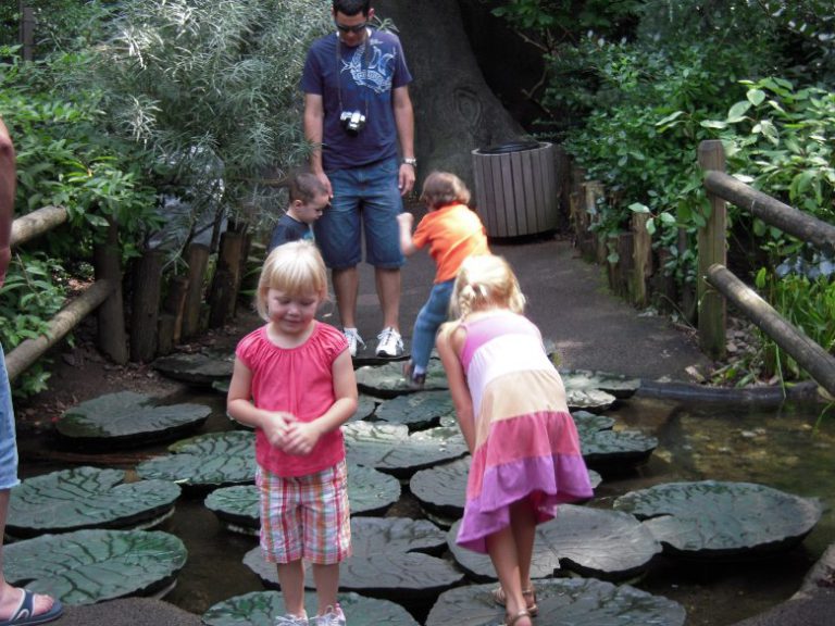 Central Park through a preschooler’s eyes