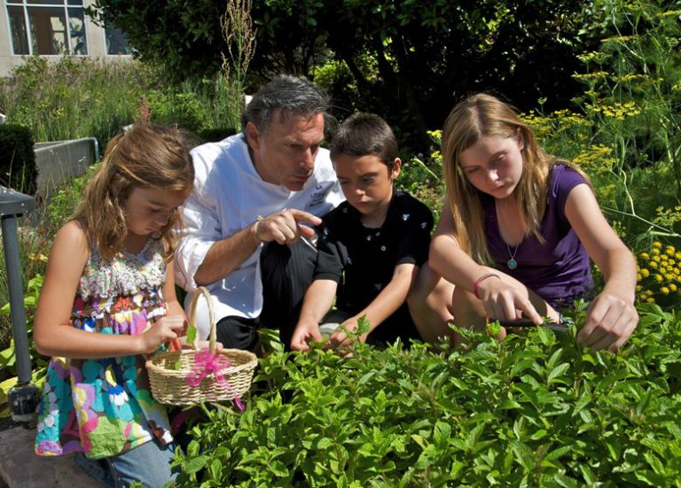 Hot dogs and chicken fingers? Not at all restaurants thankfully