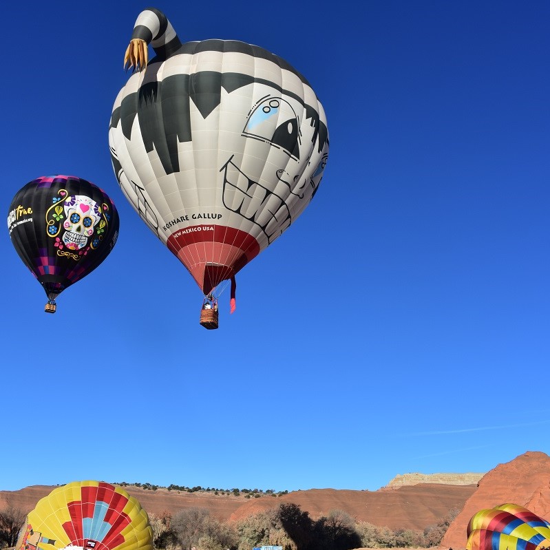 Hot air balloons ascending over Red Rock Park