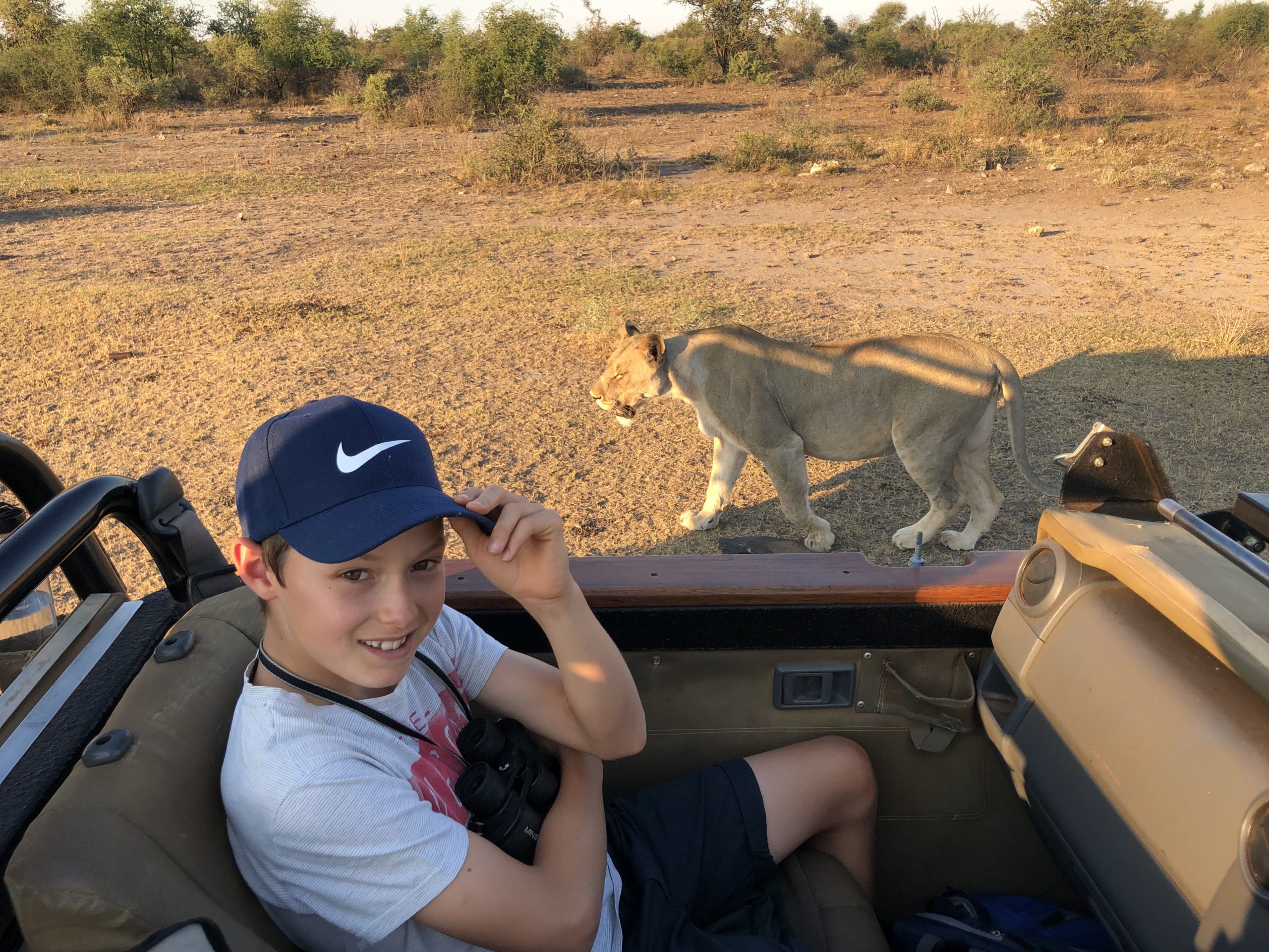 Jack Frater is unfazed by a passing , fully fed lioness (photo by Reuben Johann Grimsell)