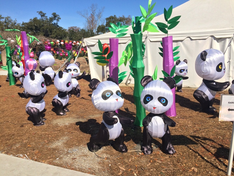 Pandas on parade at China Lights exhibit