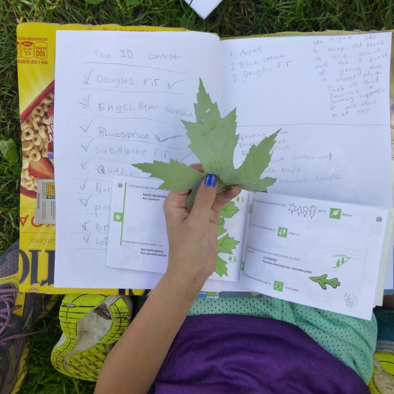 What’s in your bag of tricks for outdoor fun?