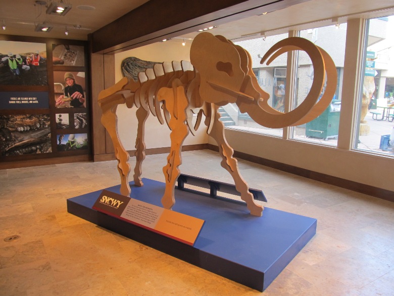 Inside the Ice Age Discovery Museum in Snowmass CO, where Mastodon bones were discovered recently
