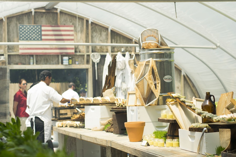 Inside The Sprouting Project at the Omni Plantation Resort