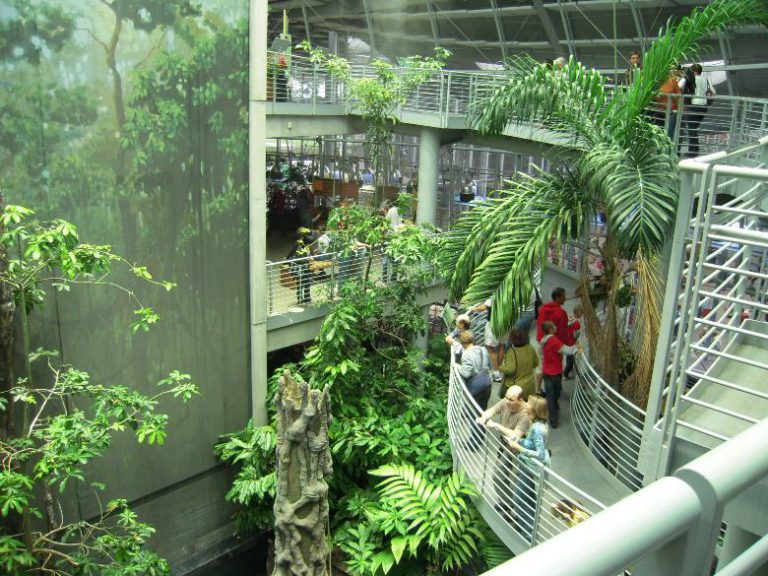 At the Cal Academy of Sciences