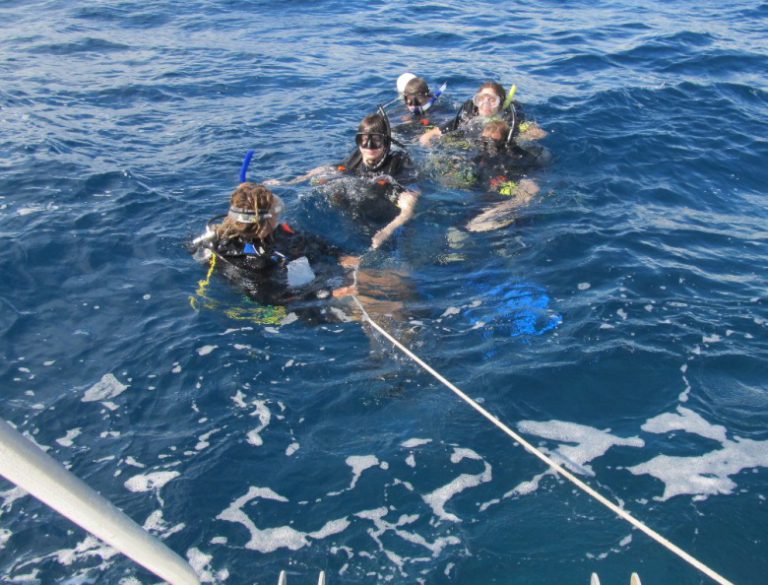 SCUBA Diving for the First Time in the British Virgin Islands