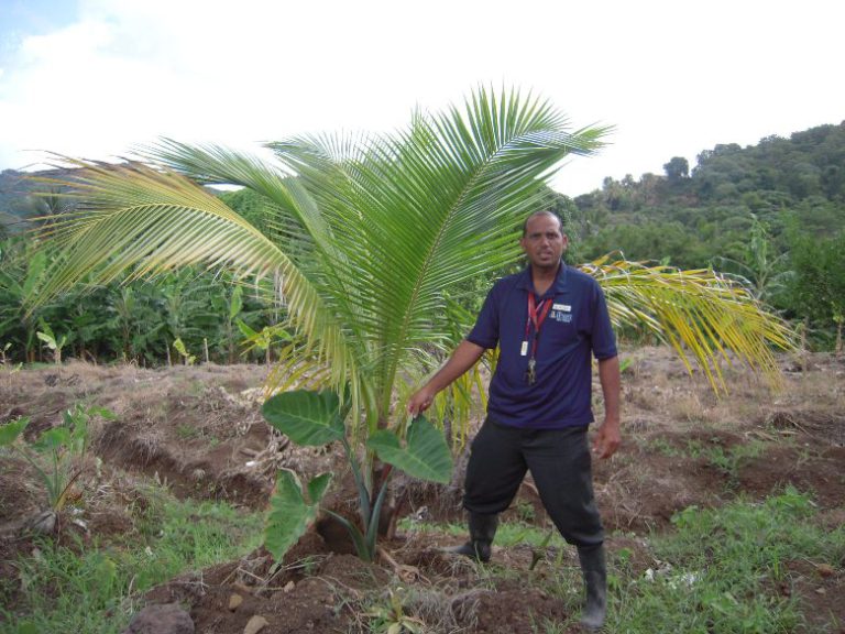 St. Lucia — Day Two