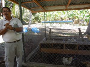 Jorge Lopez leads tour of the farm near Jicaro Island Ecolodge