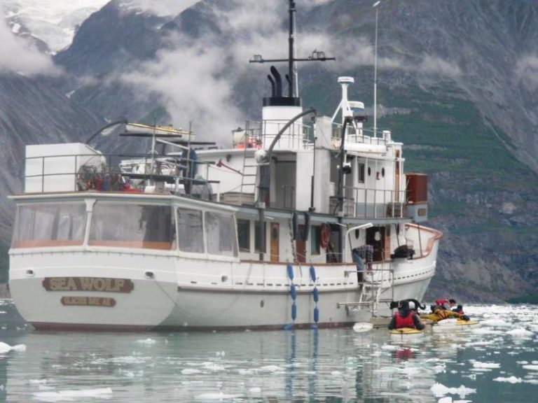 Cheering on the humpback whales