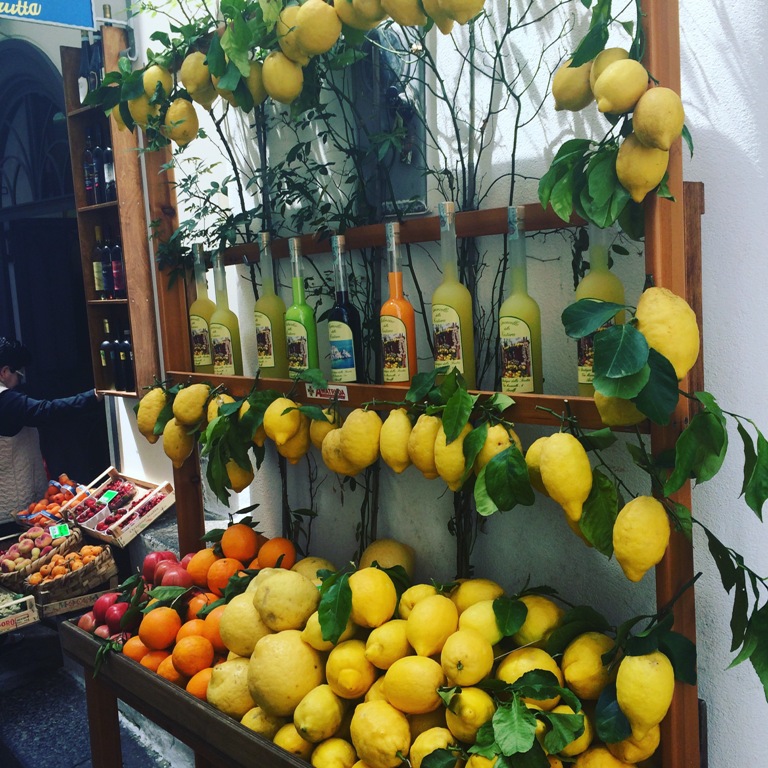 Lemons growing on Amalfi Coast