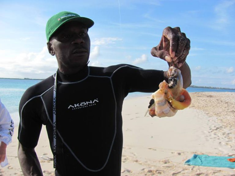 Fresh conch salad on the beach anyone?