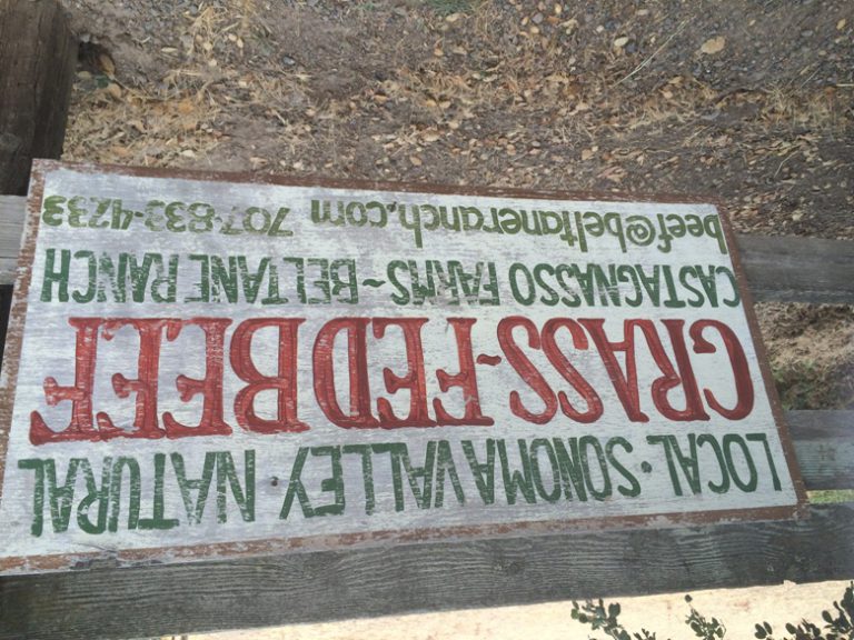 Relaxing in the mineral pools at the Fairmont Sonoma Mission Inn