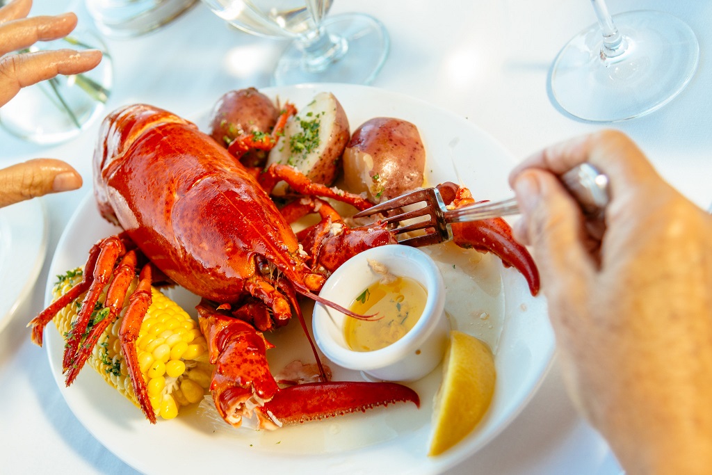 Maine is as famous for its wild blueberries as its lobster