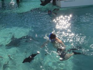 Matt snorkeling with the nurse sharks at Compass Cay
