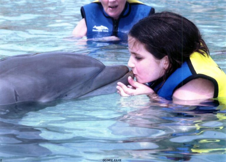 STRESS-FREE TRIPS IN 2008