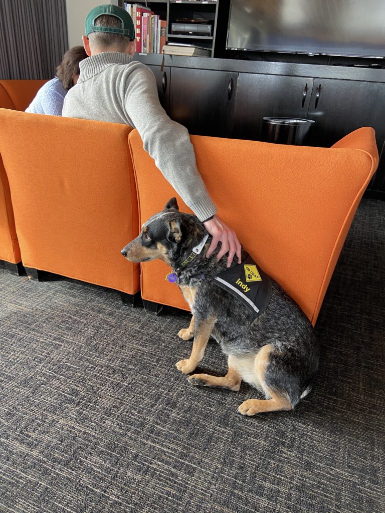 Family ties run deep at the historic Alta Lodge