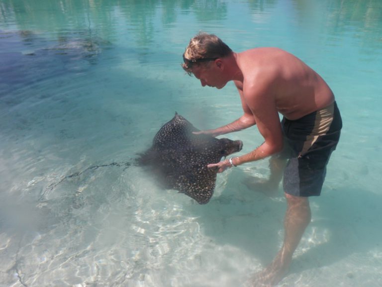 The life aquatic on Bora Bora