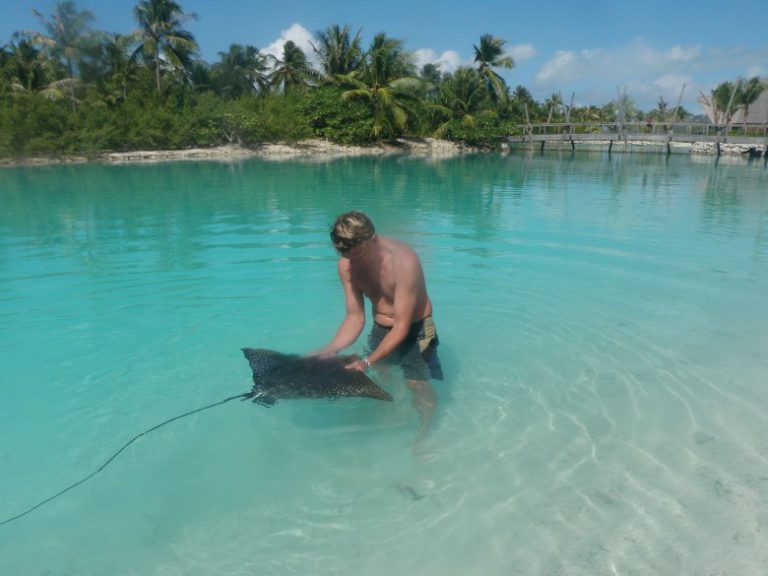 To an Exotic Place That Loves Kids!