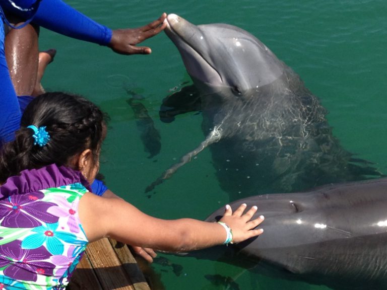 Visiting kids should meet local kids