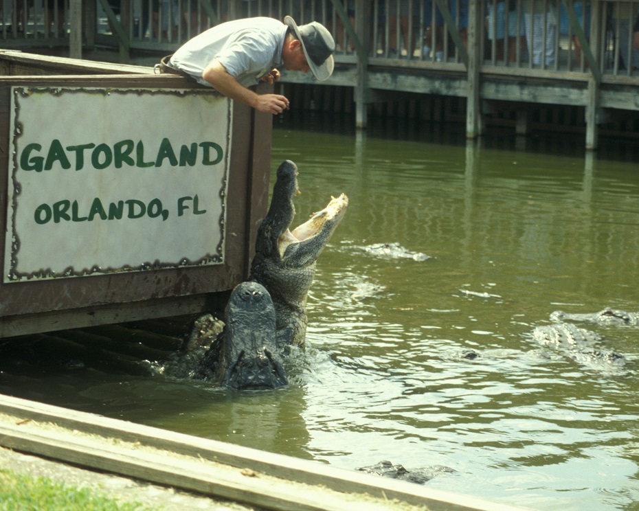 Orlando’s Gatorland