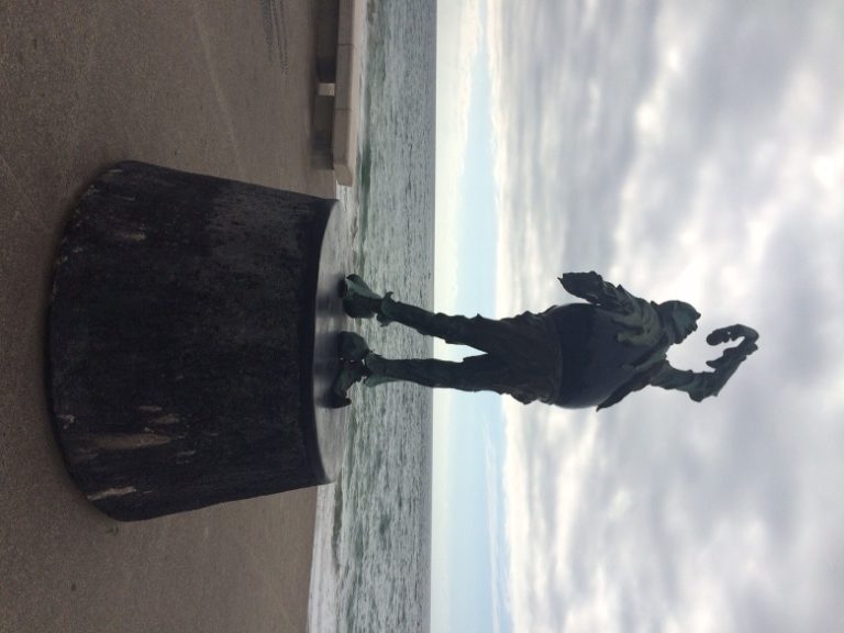 Dolphins and art galleries in Puerto Vallarta, Mexico