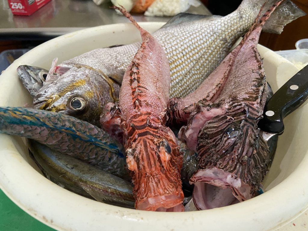 The fish prior to cooking at Star San Villa