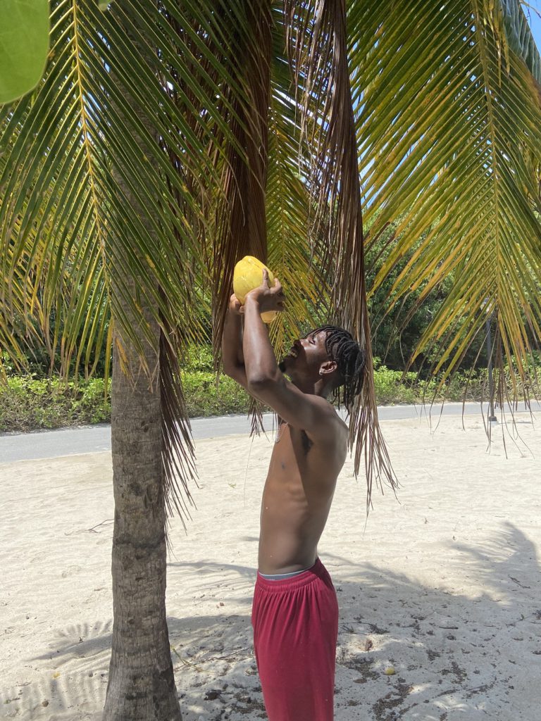 "Steady" Stedman drinking coconut water