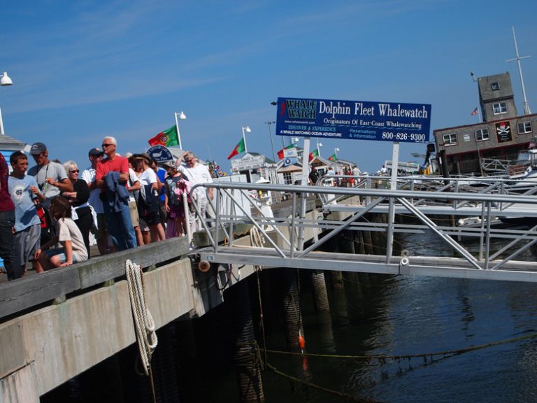 Two days in Provincetown MA and some whale watching