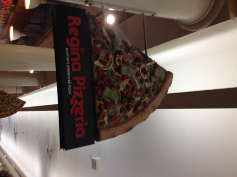 Interacting with sharks at the New England Aquarium