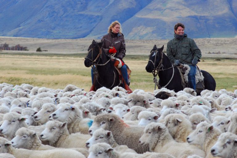 Taking the Kids — To Patagonia