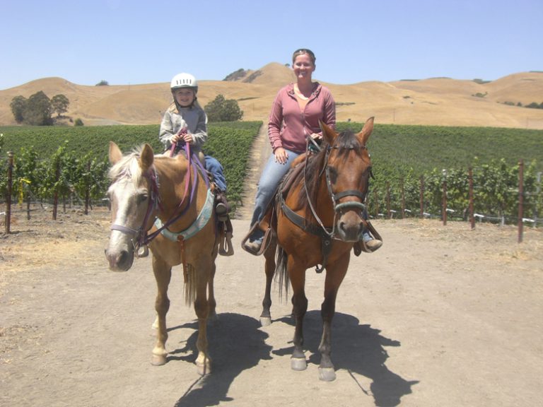 To California Wine Country