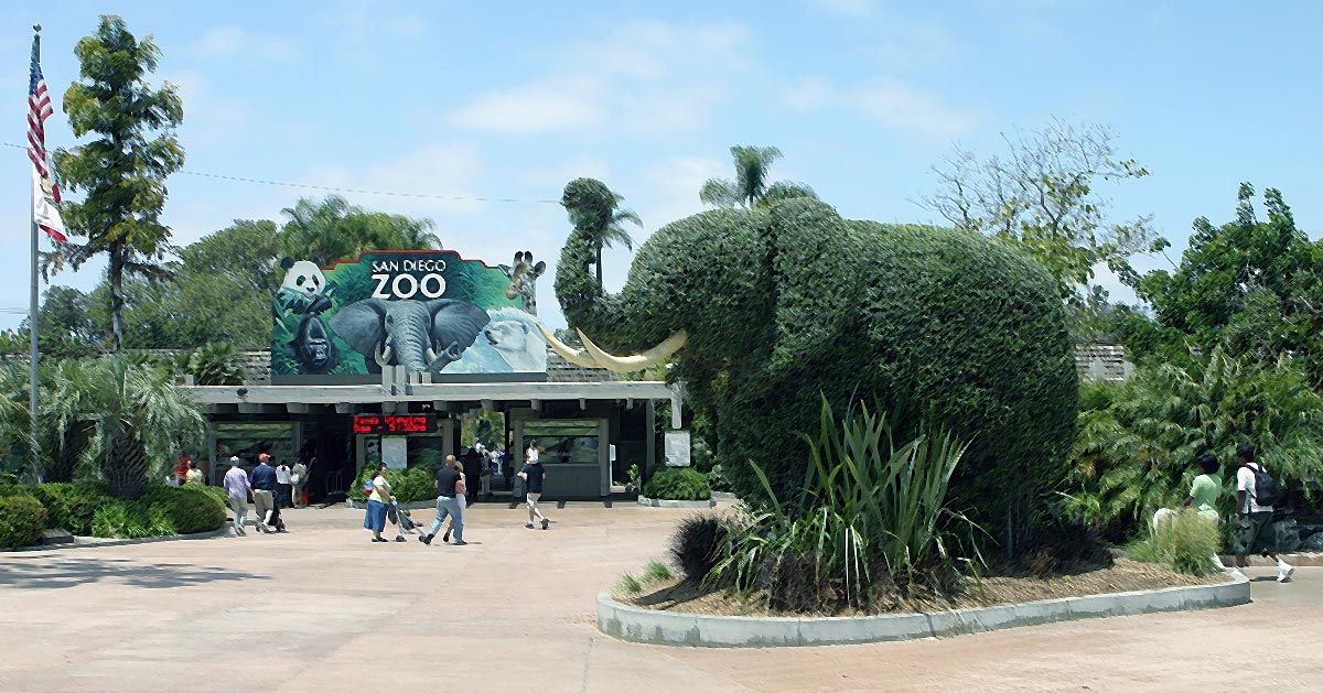 The world-famousSan Diego Zoo