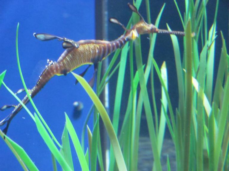 Tripping through California with grown children leading the way