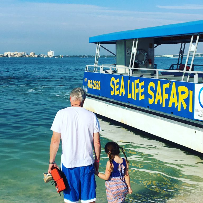Fun and education on the beach in Clearwater FL