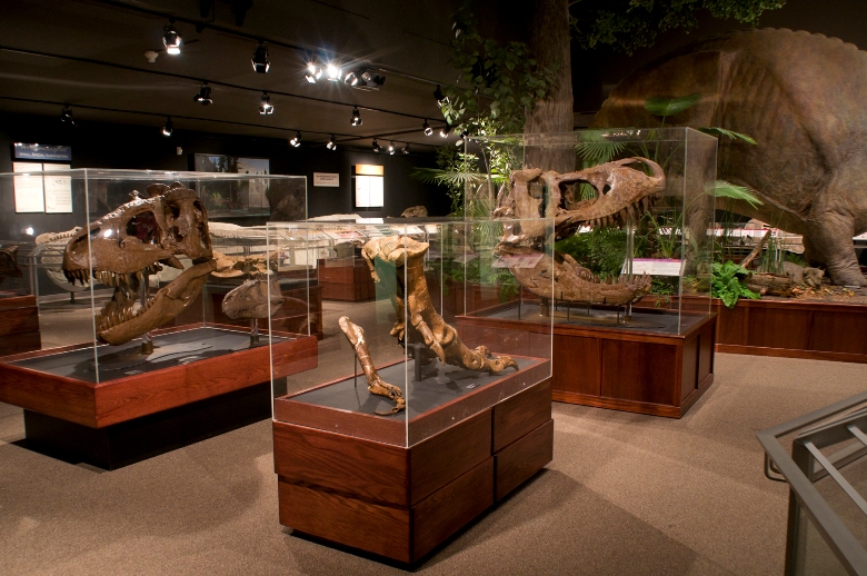 Siebel Dinosaur Complex at the Museum of the Rockies??????????????????
