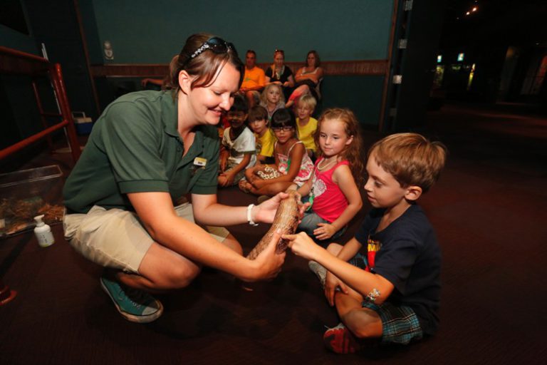 Winter is a great time for a family visit to a zoo or aquarium