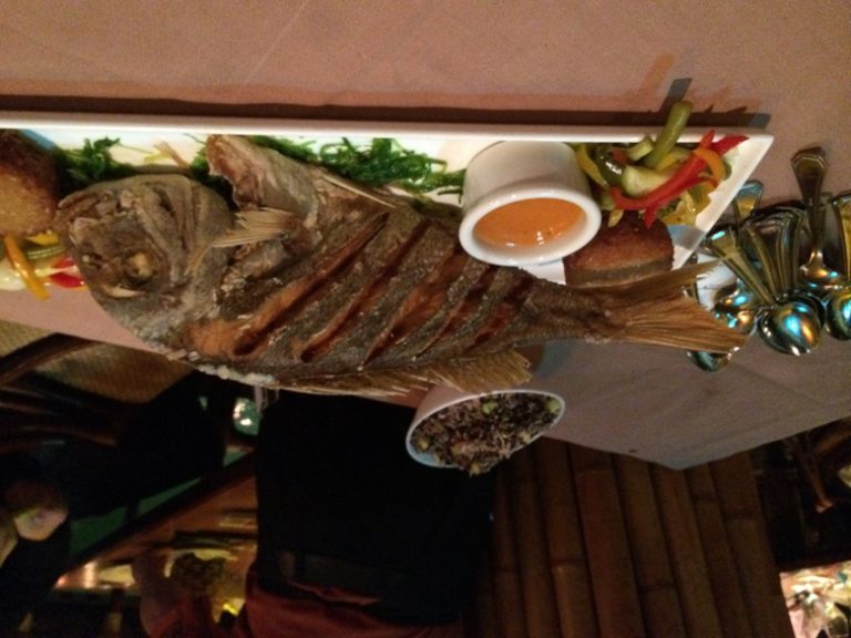 At the Tonga Room in SF, fun dining for families