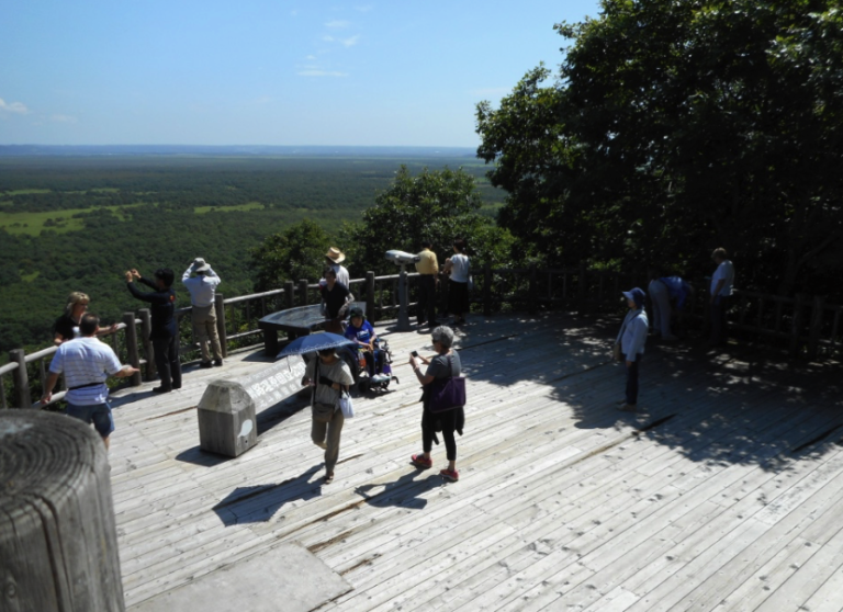 Shore excursions: Cranes, marshes, pluses and minuses