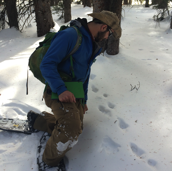 ACES Guide Samuel Hinkle stops to check out animal tracks