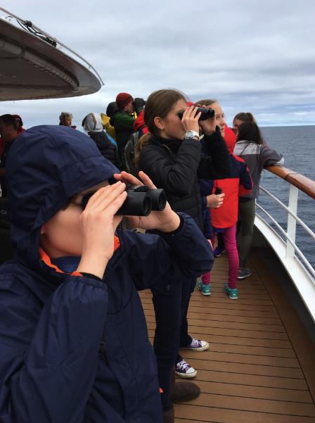 Looking for birds and whales on Le Boreal