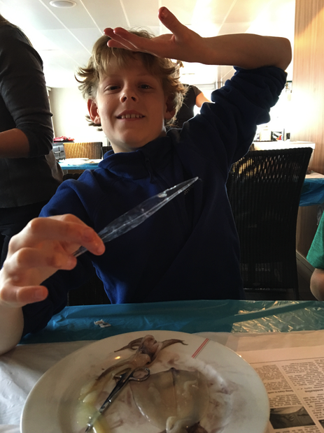 Thomas (aka "Duncan") carefully dissects his squid