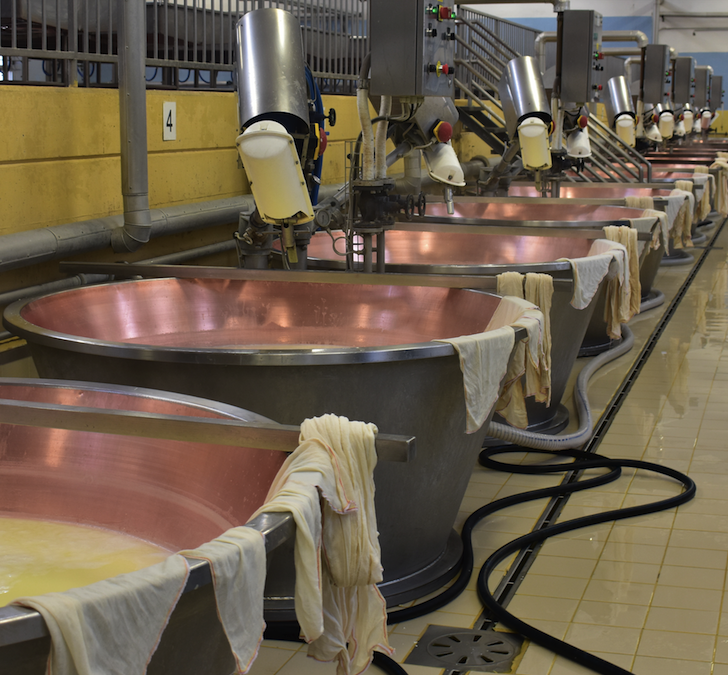 Ham and Cheese Production in Parma – unique craftsmanship