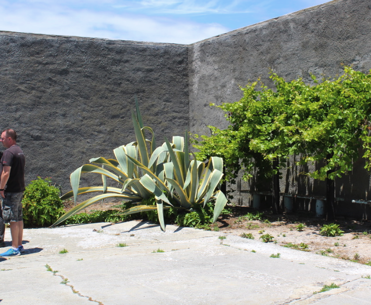 A Sobering History Lesson– Robben Island