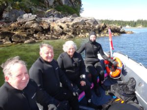 Snorkeling expedition from the Wilderness Discovery