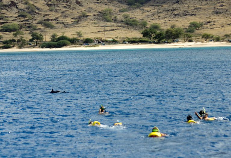 To Oahu Beyond Waikiki