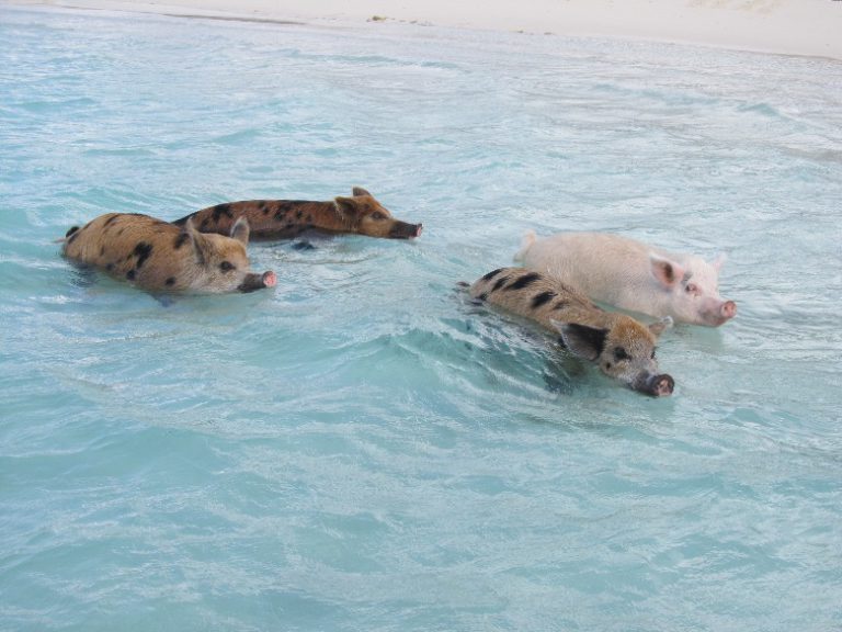 Thinking back on all the great family times at the beach